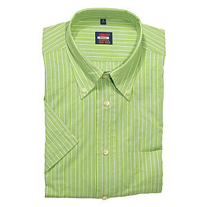 Sommerhemd | Kurzarm | Button-down-Kragen | Baumwolle | Grn