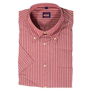 Sommerhemd | Kurzarm | Button-down-Kragen | Baumwolle | Rot