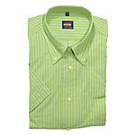 Sommerhemd | Kurzarm | Button-down-Kragen | Baumwolle | Grn